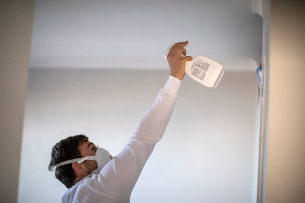 Best Same-Day Mold Removal  in Newton, KS