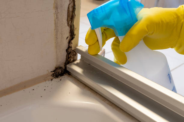 Best Water Damage Restoration  in Newton, KS