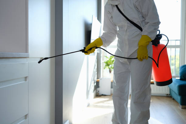 Best Emergency Mold Removal  in Newton, KS
