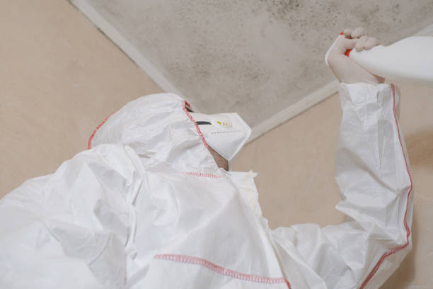 Best Mold Remediation  in Newton, KS