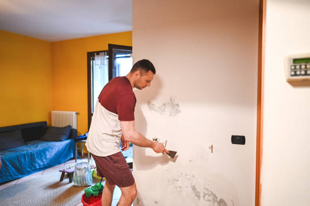 Best Commercial Mold Removal  in Newton, KS